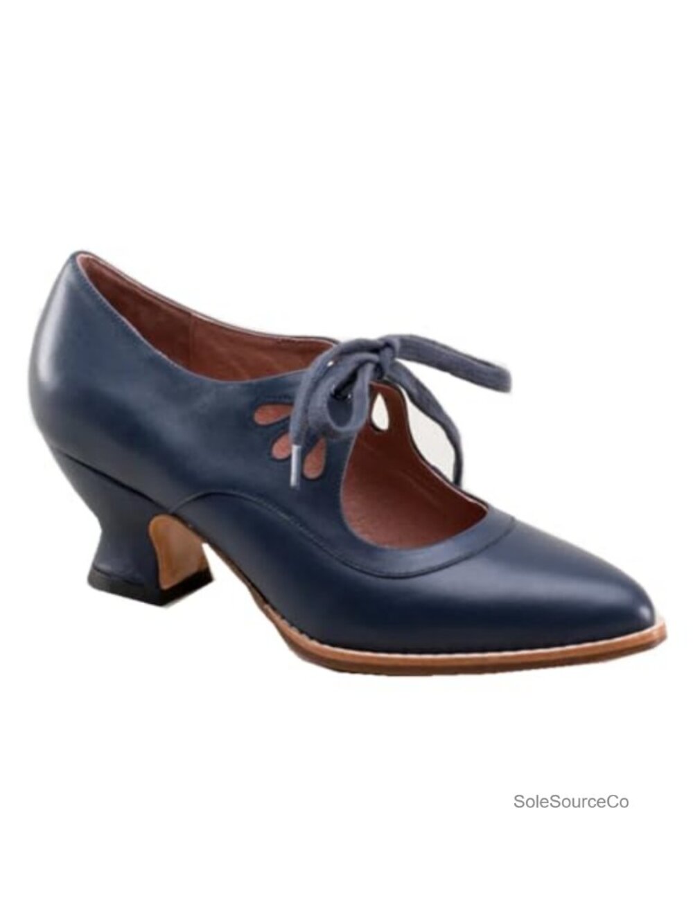 Victorian Mary Jane Pumps Retro Point Toe Lace Up High Quality PU Shoes